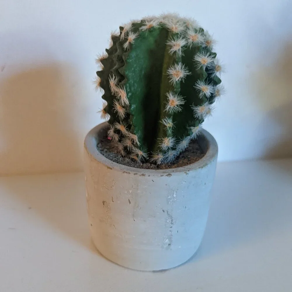 NWT Ashland Faux Cactus Rustic Clay Pot Floral Succulent Summer Desert Michael's